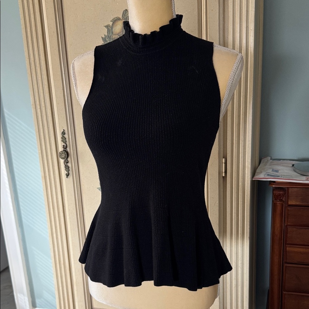 Express Black Ruffled knit Top